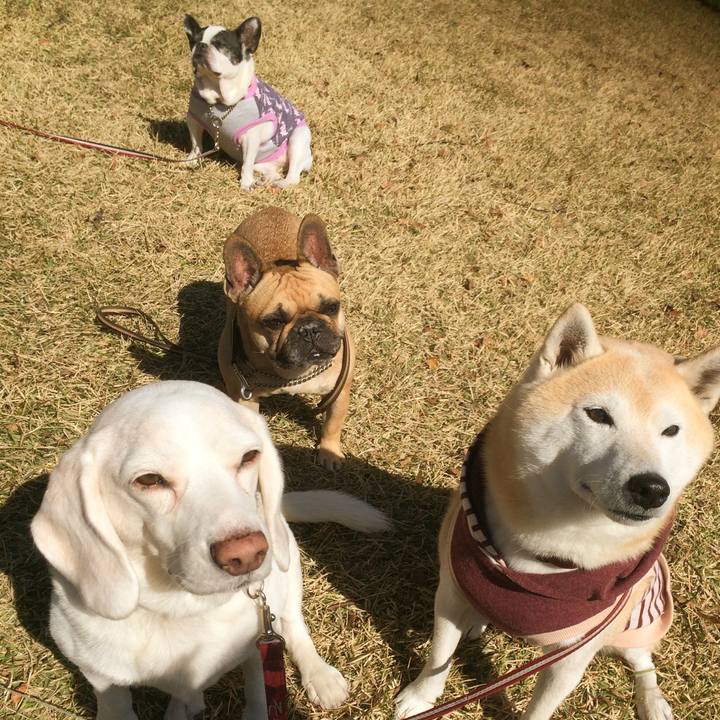 67becfc3 d172 4472 b900 d01d1b520f60 1604498342313