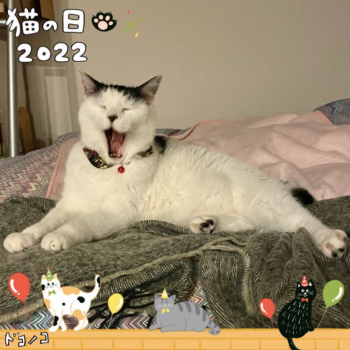 67bf1626 e4bd 4da8 84af 9e88cc6ff06b 1645534012495