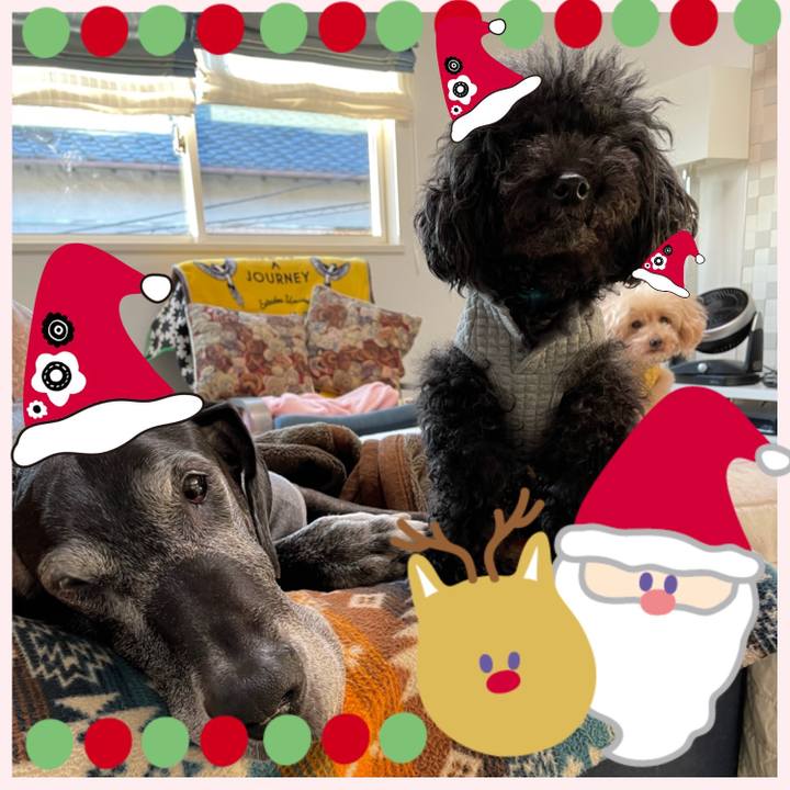 67bf2831 dbf2 4cbe 9cd9 d2e135dc10af 1640299020907