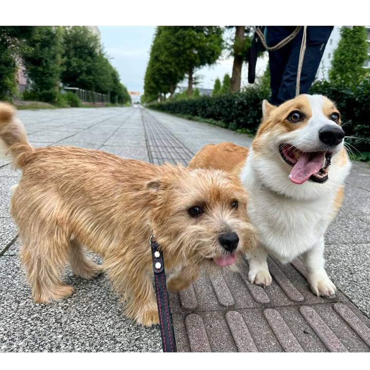 67bf4928 ab0f 4309 b954 0e852b41f71d 1727702612022