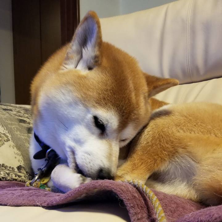 67bf7171 8dcc 433e a0d7 48c3a268f9f4 1640649050992