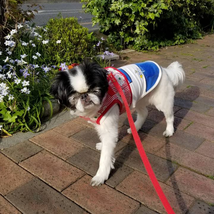 67bf85e9 6daa 41cb ae6d d77199ccbb78 1586597517507