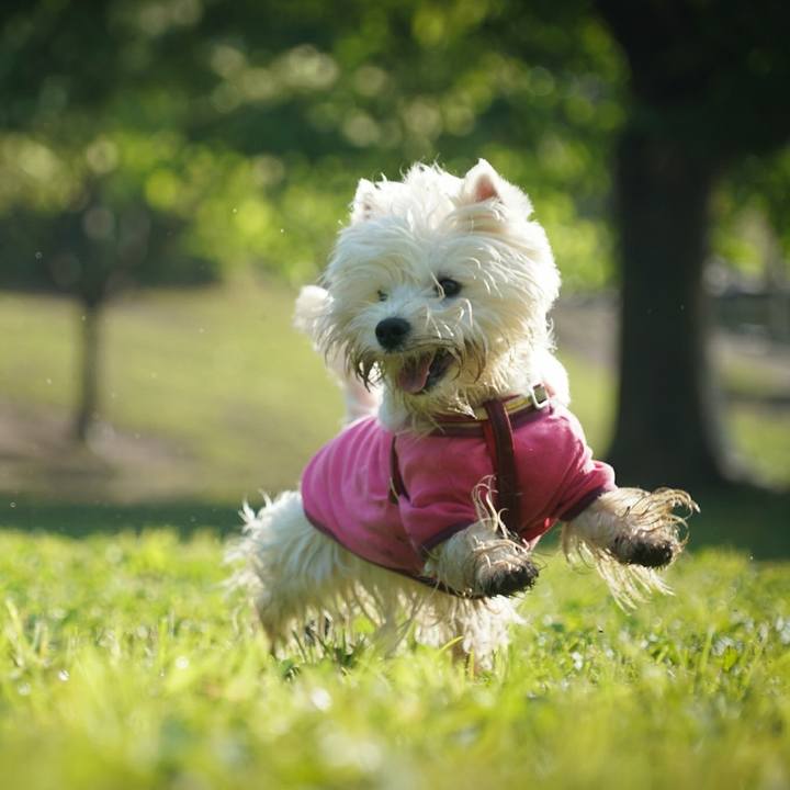 67bf8d2e 6840 4fc3 8209 c351bcd4c040 1526302963726