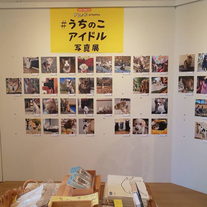 67bf99bd 7af8 4324 a83a 09e8c9b61aa7 1765705036207