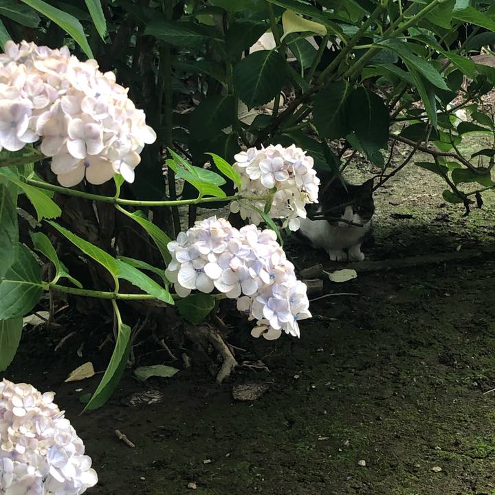 67bfee91 9951 45ad ab0e 297945c1a251 1592700859216