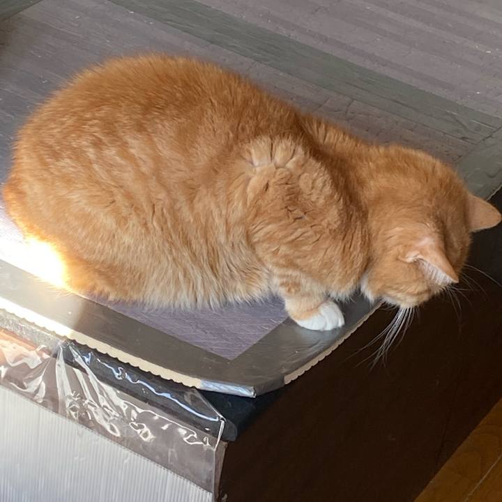 67c0477c 9c81 4a2b 8552 ea87ea02a71f 1674350633450