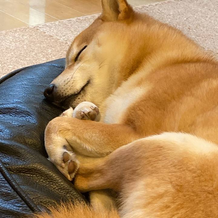 67c05ca9 0796 4788 9ccc 980b1e4f44ee 1679704156970