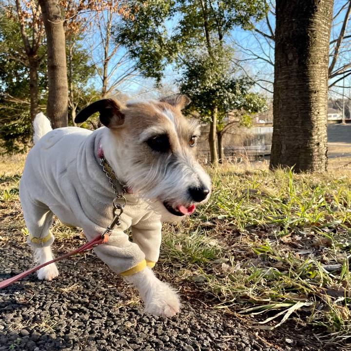 67c07e14 aa5c 46de 8d7b 9ed7e88f5fb5 1644231380153