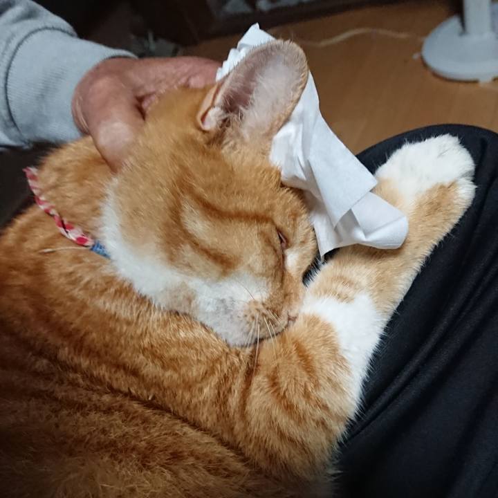 67c097a7 c53e 4d33 ad6a 0eb4b6480689 1601671364076