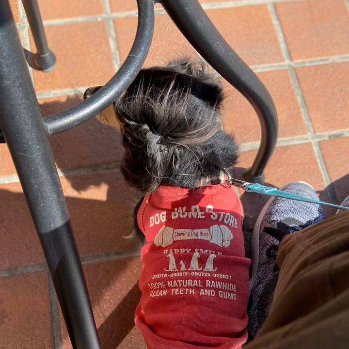 67c099e7 88a0 401d 839a 99ca672e8214 1709432237601