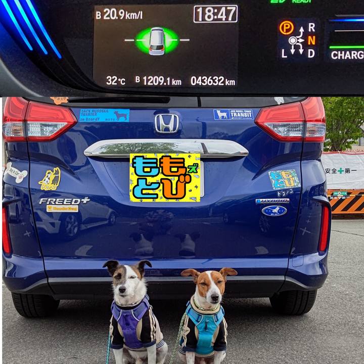 67c0cde5 3fca 48b6 bb19 9f6ed31968ec 1658228809150