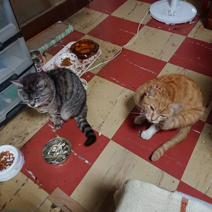 67c0d2e4 b6d0 43ab b264 d25fba9e0cbf 1560290015442