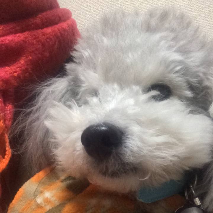 67c0e7d6 e79f 430e a362 709deb3b5a57 1511448581834