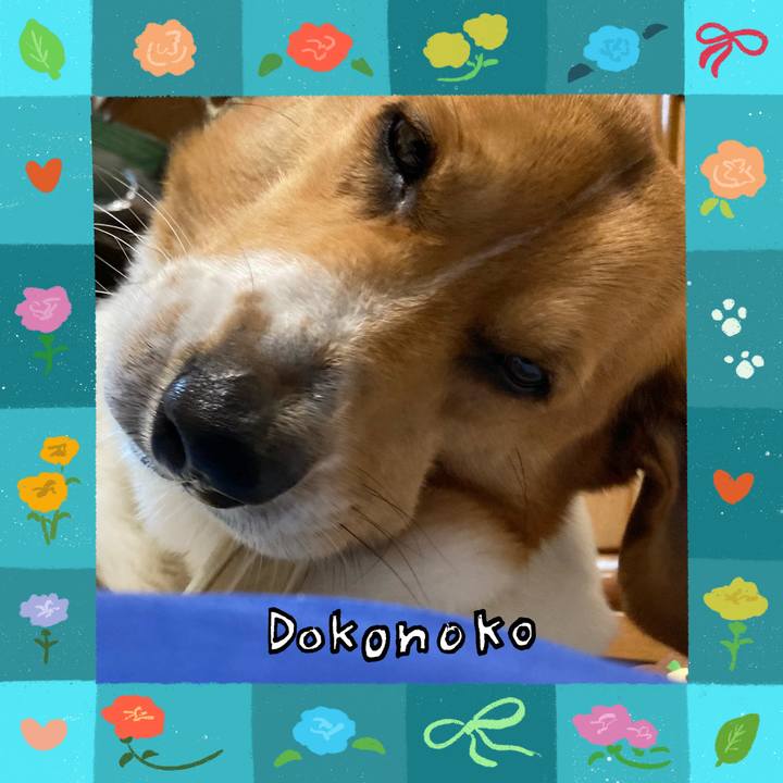 67c0ea28 9fc6 472c 87d2 d7d0ae422872 1715214216265