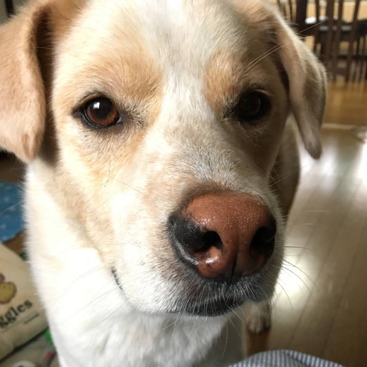 67c0f786 fb4e 49ad 82b6 6eb223d3cce0 1530873934252