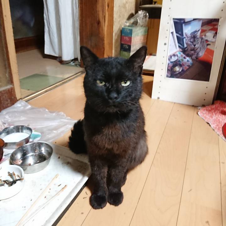 67c0feac 5f9e 4155 939f 6d6897380f14 1624359945619