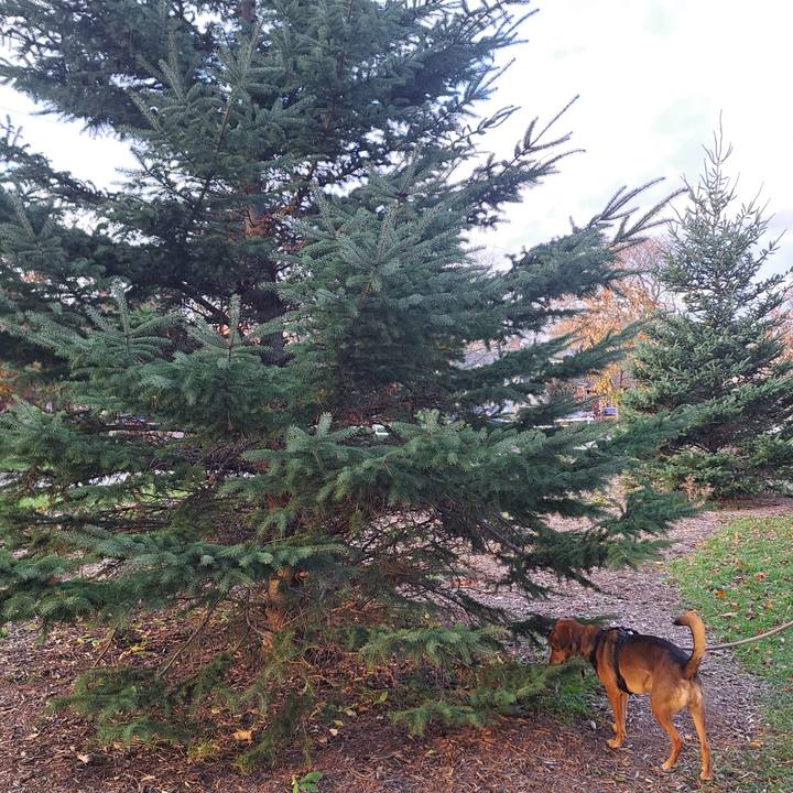 67c10d2b fad9 4237 b760 8fb93a865bba 1764081135498