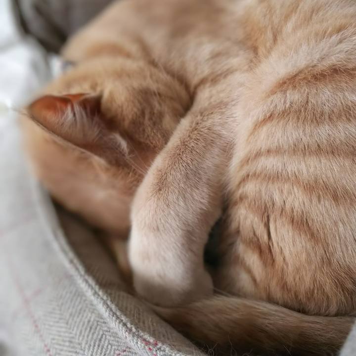 67c11ae4 ec7a 4749 9183 22a7a487e3d5 1570855584334