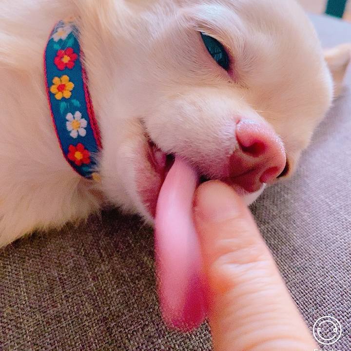 67c15957 782d 4969 85ad 02eca78e1334 1631937784652