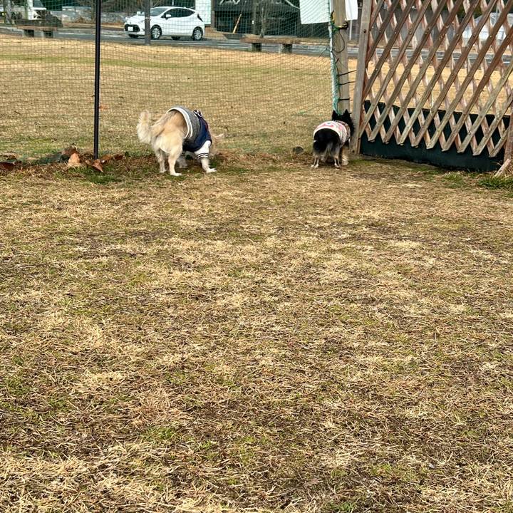 67c15999 a239 4824 a84f 50f9ff32d1d5 1765589956433