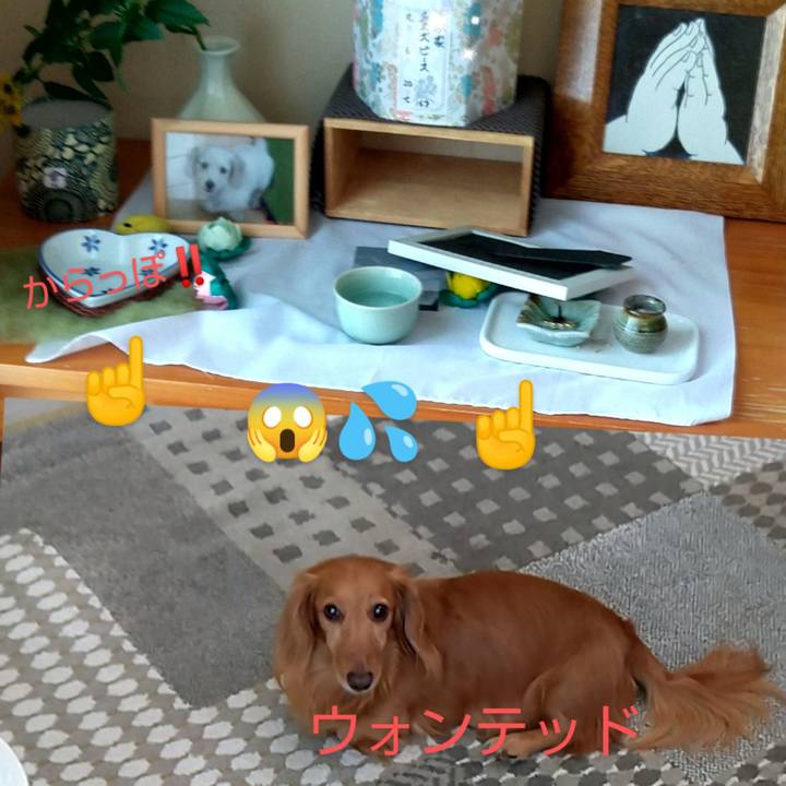 67c165fa ebd3 4e66 a518 17dcb93a0c94 1664883462071