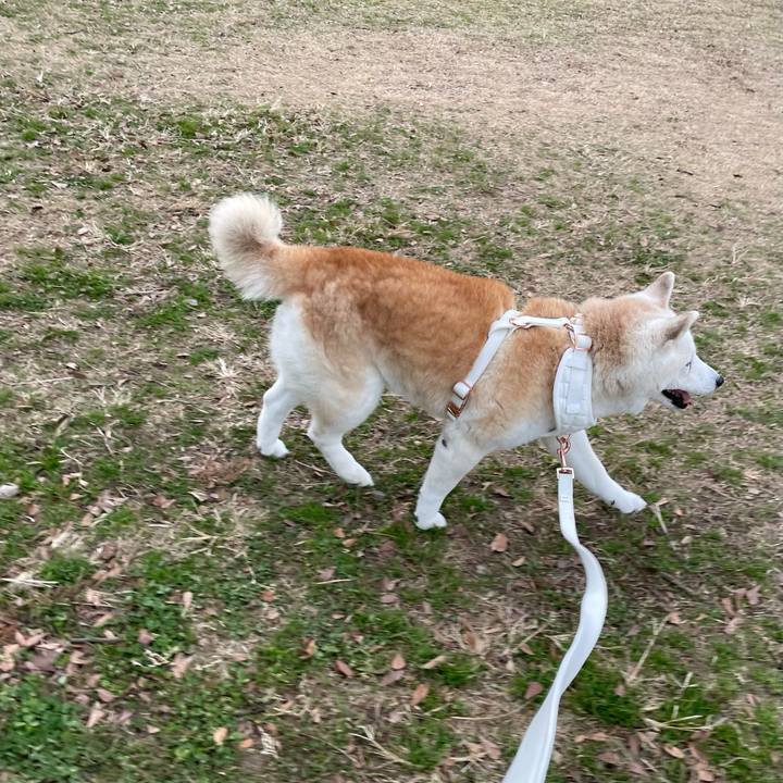 67c192f0 6ab1 4a4f 96ff 68c6dabaf4db 1704639023191