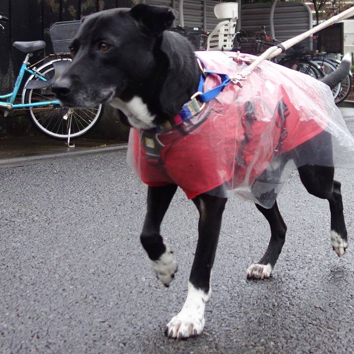 67c19f4e ac34 4143 8bfe f51e38393c72 1645316842961