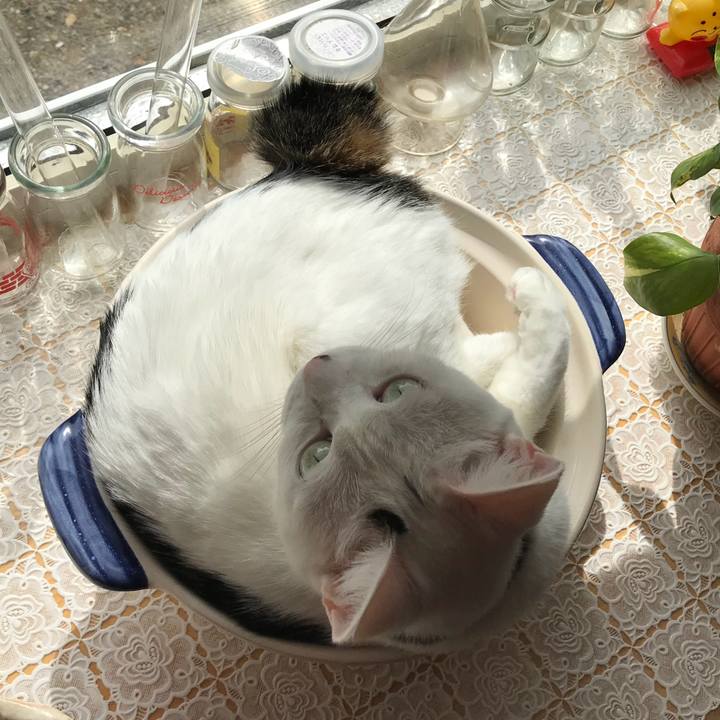 67c1b889 9388 47a5 ab35 276e4d7f6b2f 1538271609761