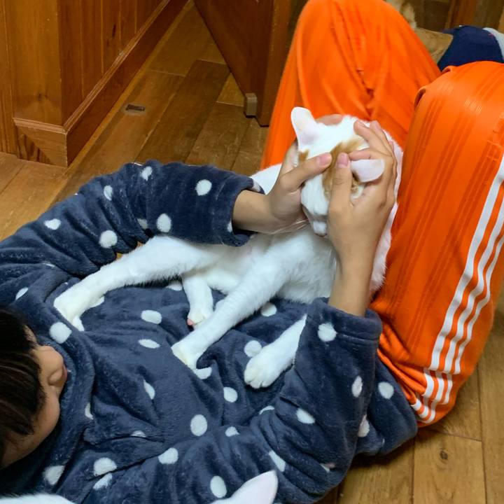 67c1c897 344b 44a4 bdef 35b2f3e3c133 1606226718376