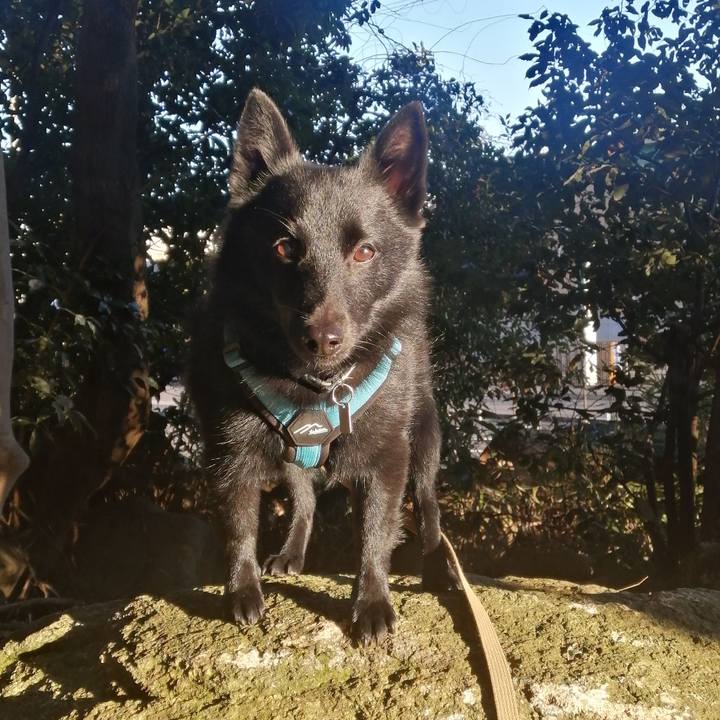 67c1cb28 9ecf 4956 b6ca 1b302afd5e66 1639781424868