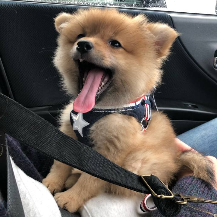 67c1d957 aca5 4cec b4f4 fecd6aff6f03 1574492253287