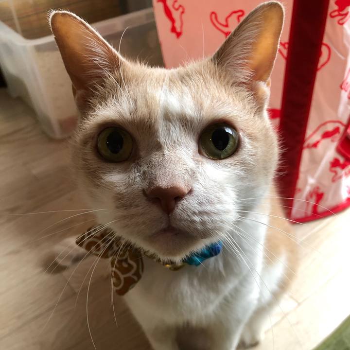 67c1eaa8 6ef0 437a 86b3 d58c76500bfc 1594682532087