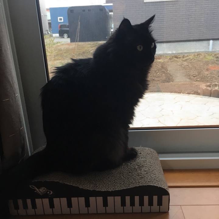 67c20242 7734 44fb 96df d6c1eb84a31d 1556794712288