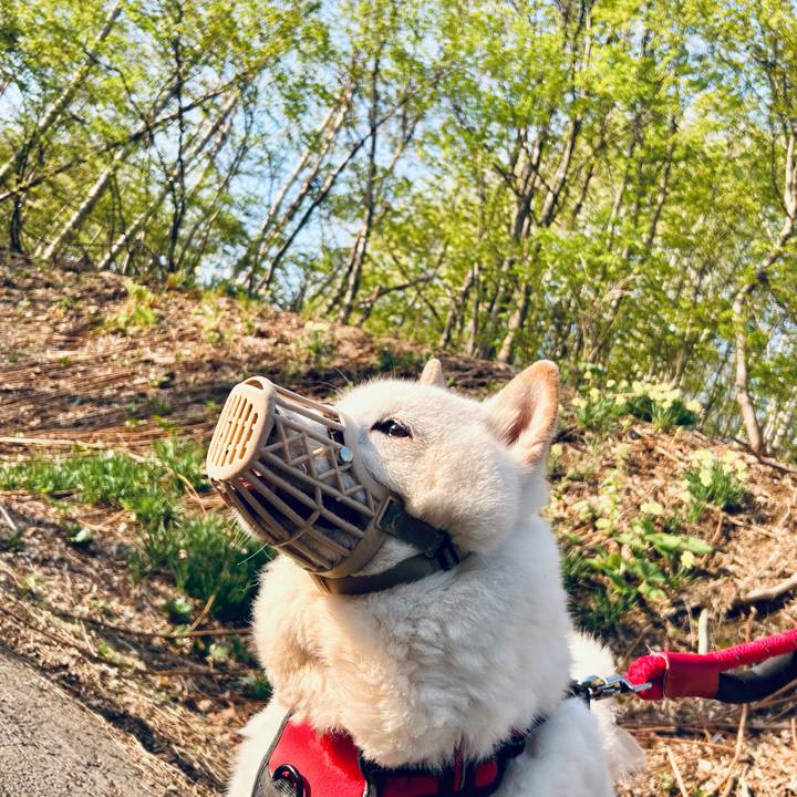 67c22d4a a51a 401a 9aa7 f86f89f2c709 1714770412603