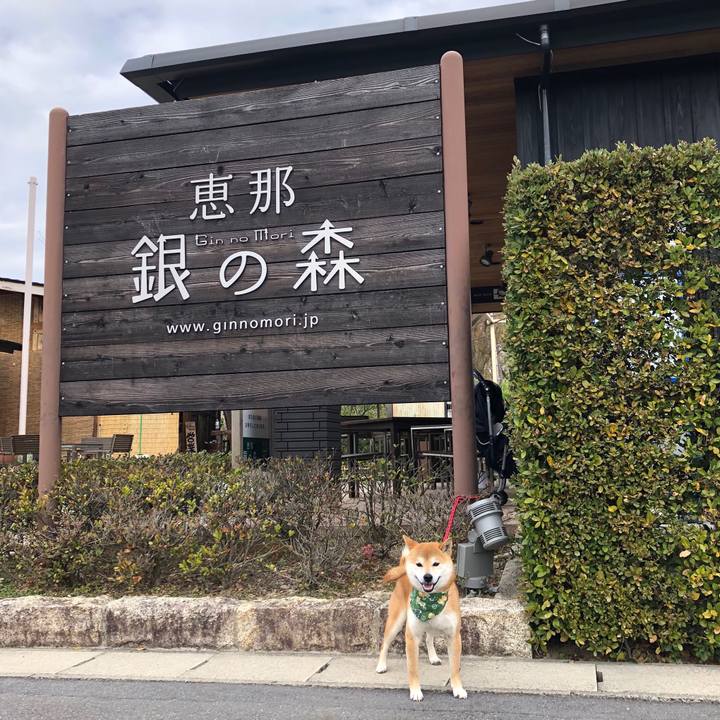 67c2703d f503 49d5 b046 e87ef4ee9b45 1522921026582