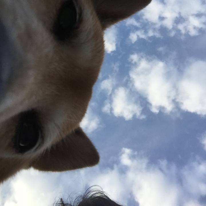 67c2de7b 40e1 4cc9 9be9 f0f205fdfe6f 1633767854895