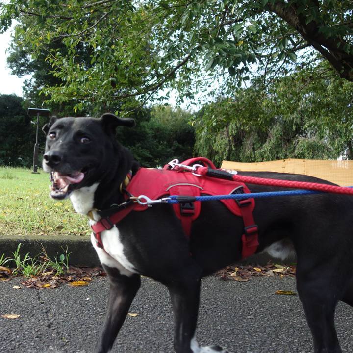 67c2e42b d9a7 4b80 b09a 5c98a7400291 1599955740863