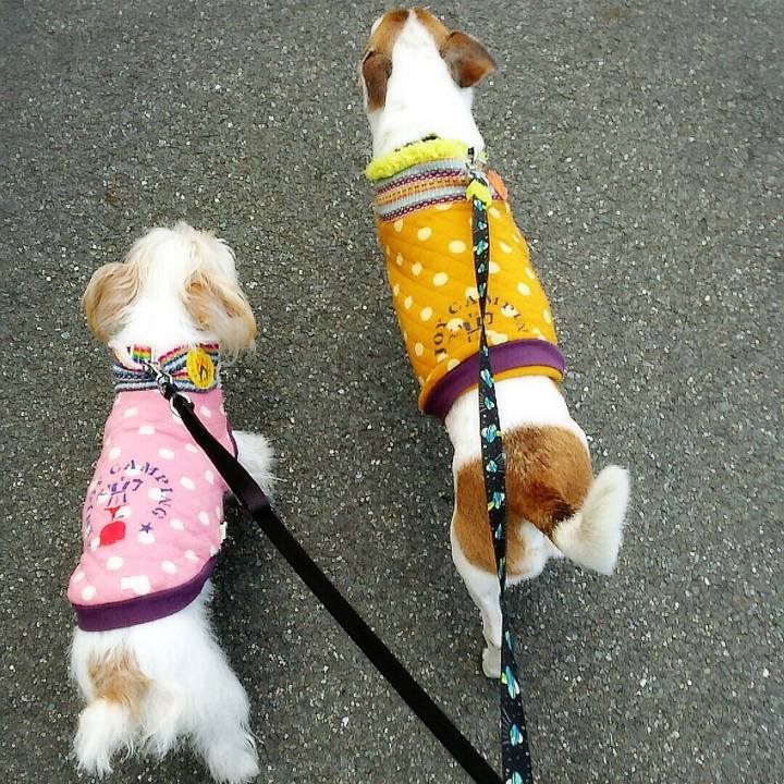 67c3055d 51d6 454f b289 adb3746716fe 1518430342668