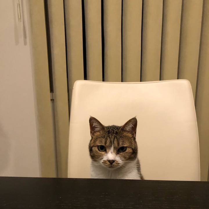 67c33956 c465 4b99 b332 1406d056e54b 1637605585889