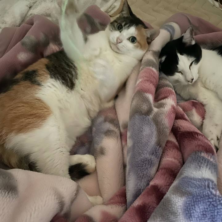 67c3429a a1fe 4e46 bef5 5daf6d6ede30 1683960008757