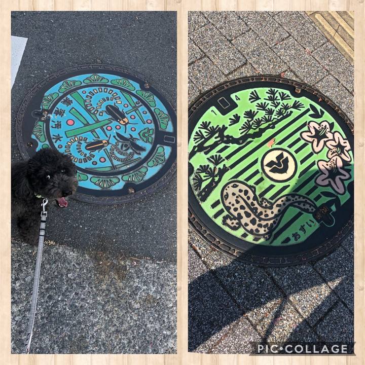 67c35d33 2a03 4b7d 8a92 f4c352095392 1605707142738