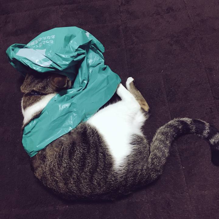 67c3eb57 7018 42dd a714 2e6ff84613ea 1524183176724