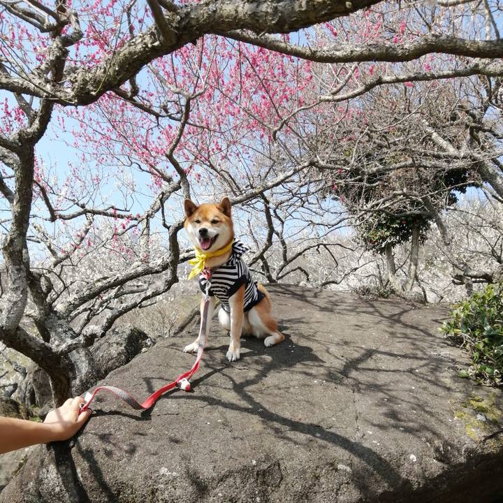 67c3f963 a980 45a9 9464 d232c29e9c39 1583057299439