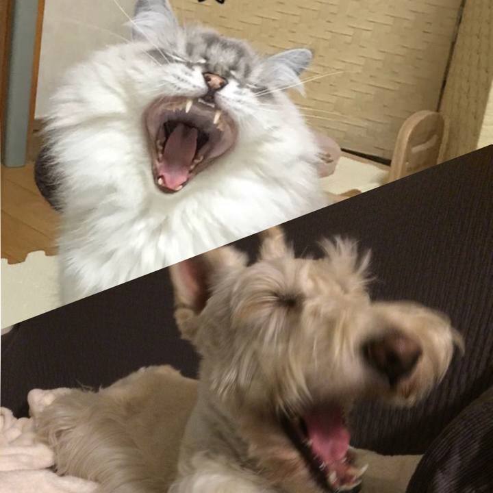 67c3fed9 fb4b 43ce bbd9 4b8aa835be40 1519218573476