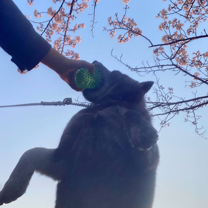 67c4499b ab0d 4100 85b3 d8cc837d9175 1586251598755