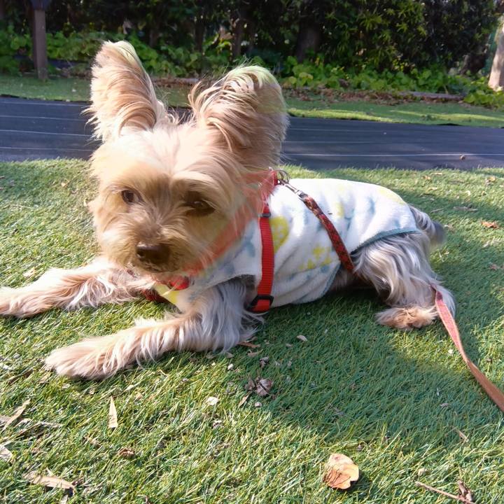 67c44ea3 7828 4d24 a04b c99d96049cc7 1737518476182