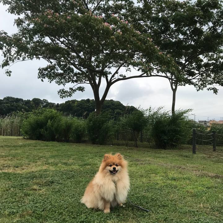 67c4519f 526e 49d7 b202 9e3701e7018b 1528590123729