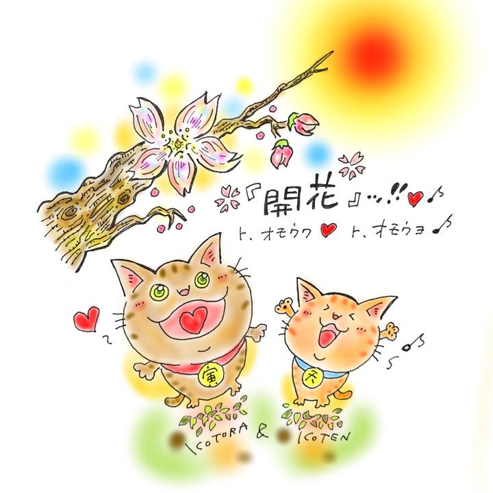 67c45e5a 265c 4a72 96ac b2f00435ac34 1584891350754