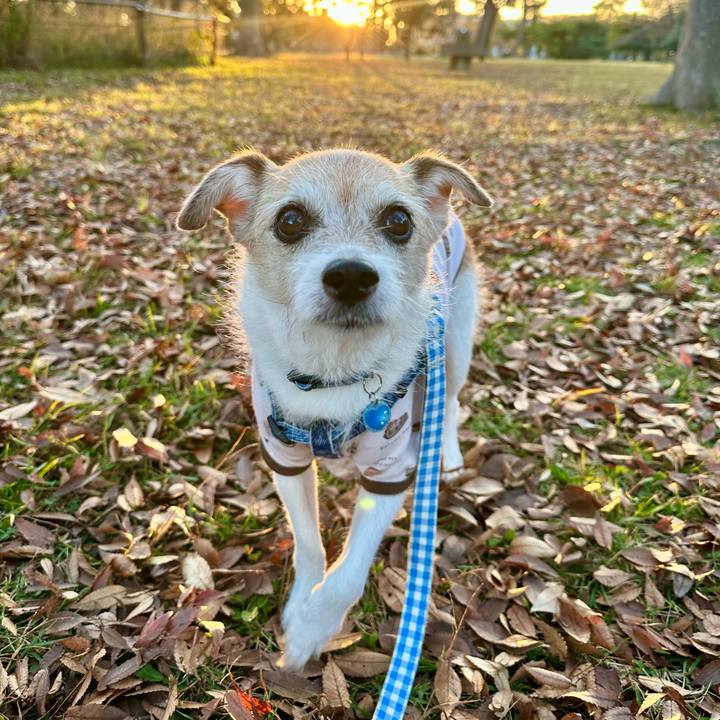 67c46d39 9b29 44d7 ae20 d7c31cbd95b8 1699516804135