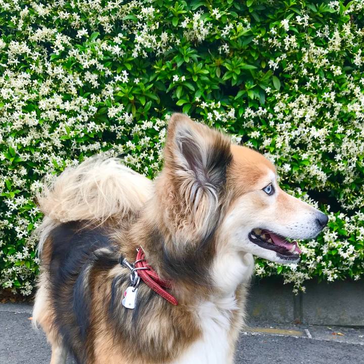 67c49239 29ed 435e 95dd 9bdcc7228304 1589530427515